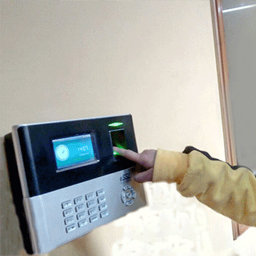 سندھ کے محکمہ تعلیم میں حاضری کا نیا نظام